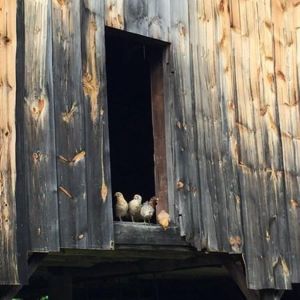 ISa95jc0hbe7w11000000000